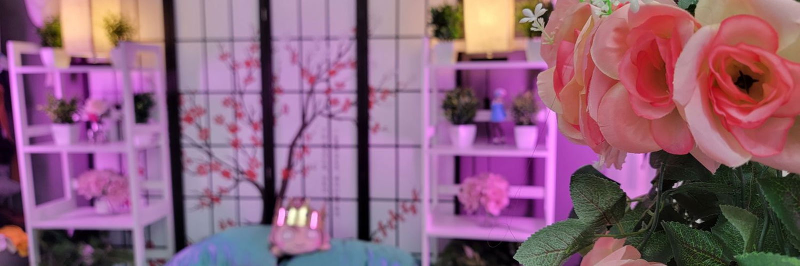 Nano_Nano ✨ #1TransGirl/Femboy Creator✨ photo