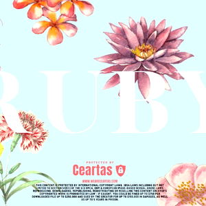 ruby ๐ (ยด๏ฝกโข โก โข๏ฝก`) โก photo