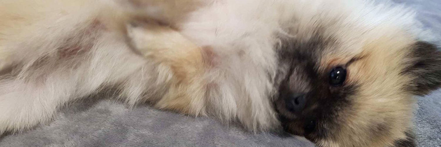 Mizzi Mie 🚀 photo