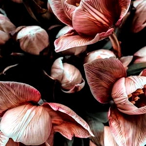 Your virtual girlfriend ๐ photo