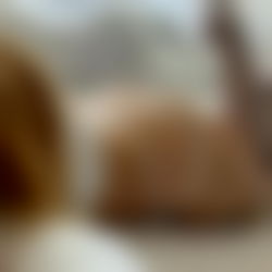 ๐ฆ ๐๐จ๐ฅ๐ฅ๐ฒ ๐๐ฅ๐ฎ๐ ๐ฆ | ๊ฐสแดแด แดสแด๊ฐษชสแด photo