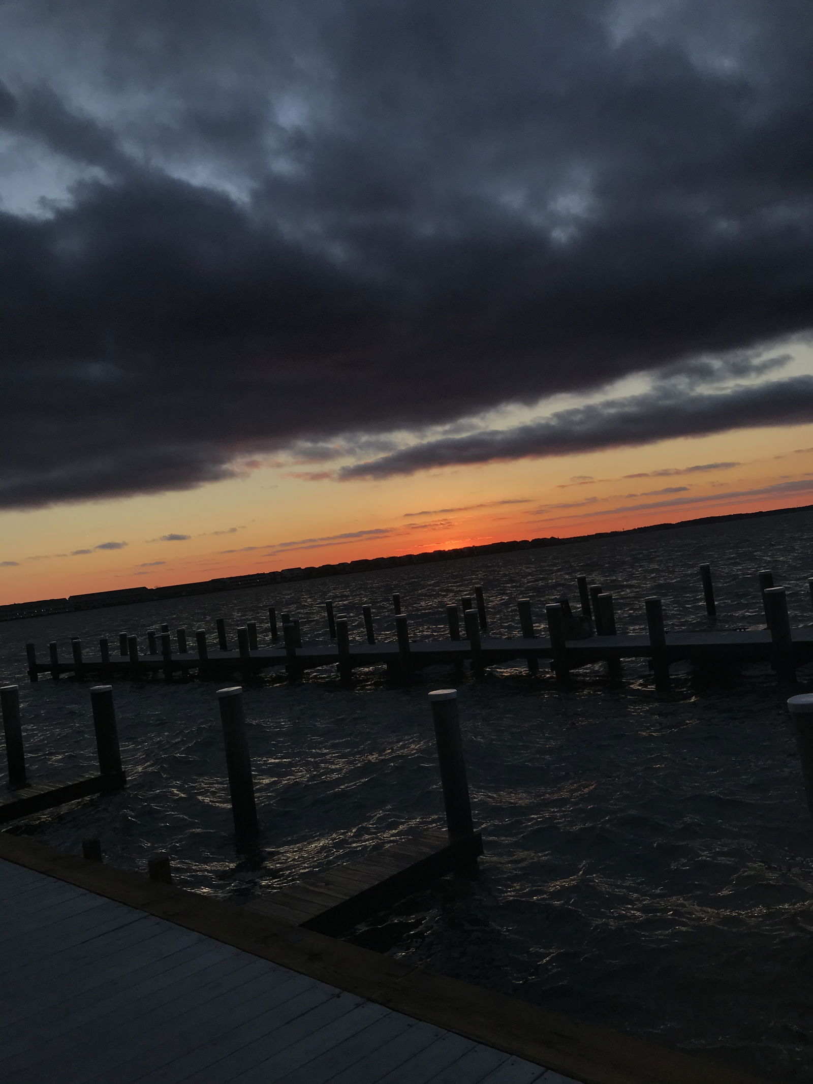 Mike The Neighbor photo