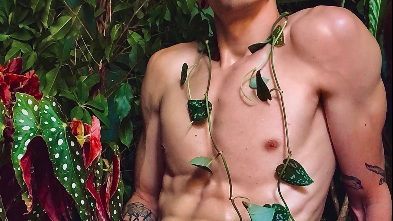 ǟʀȶɛʍɨʂ photo