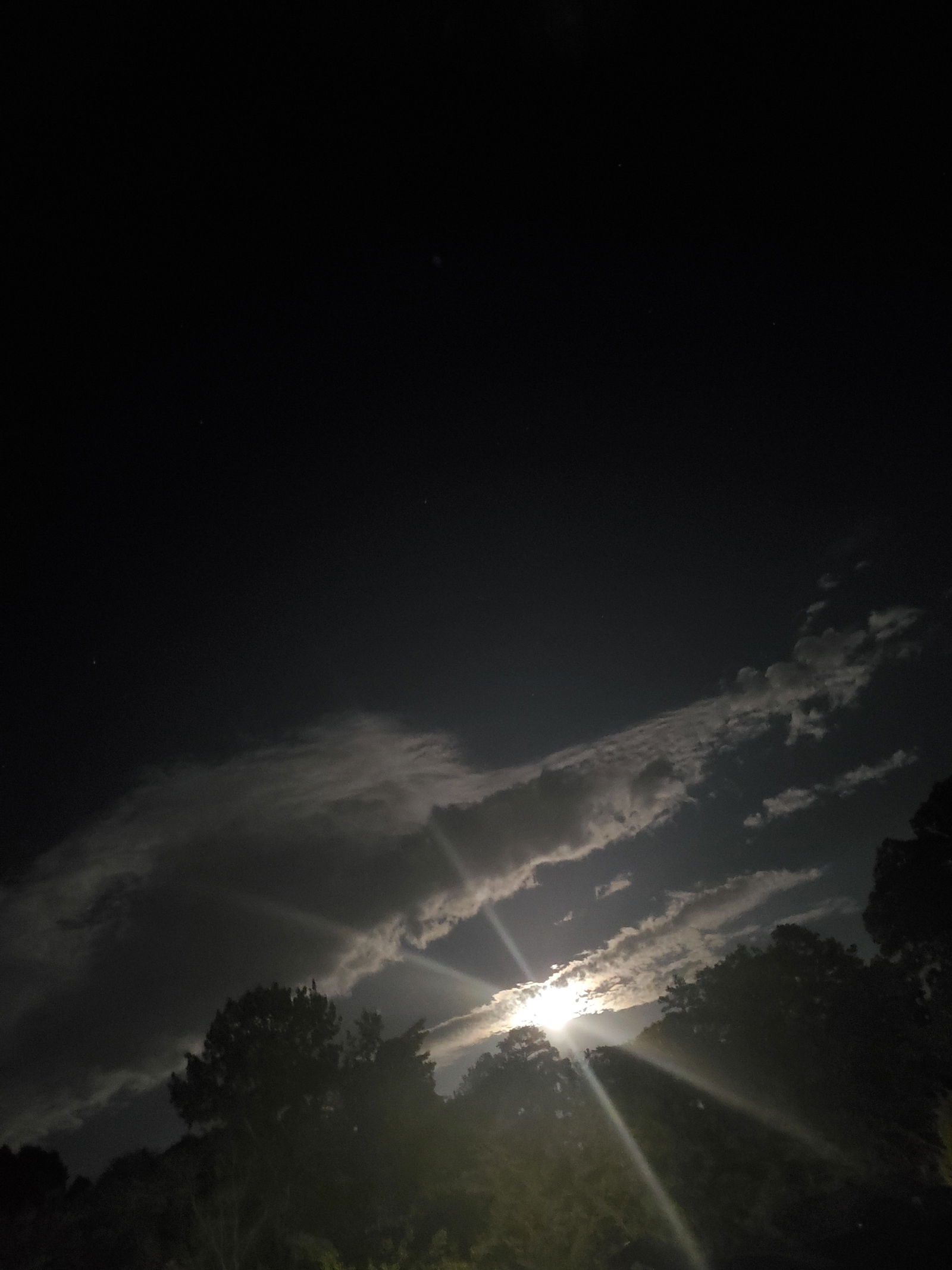 BlueCollarGuy7994 photo