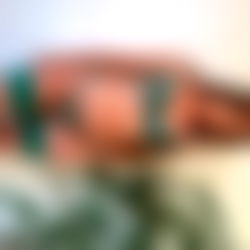 BLUE | Petite Dancer photo