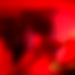 Mallory Grace๐ฅ photo