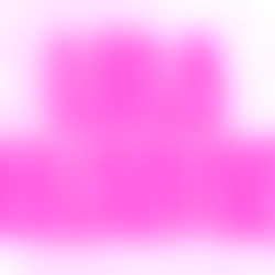 Lola Valentine photo