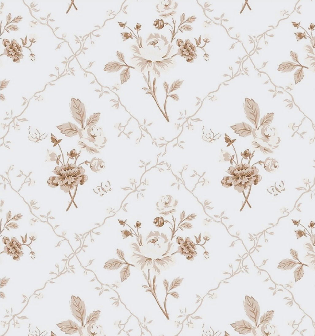 𝑯𝒂𝒏𝒏𝒂𝒃𝒆𝒍𝒍𝒆| 𝑻𝑶𝑷  0.1% photo