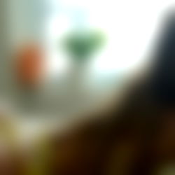 Bronwin Aurora photo