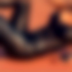 MISTRESS PRINCESS VENUS ELEGANT GODDESS photo