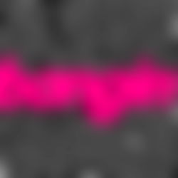 ๐น๐ธโ๐พ๐โ ๐
ฟ๐๐
พ๐
ผ๐
พ๐ photo