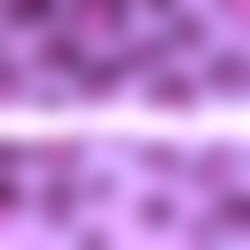 Julerri Amor๐ photo