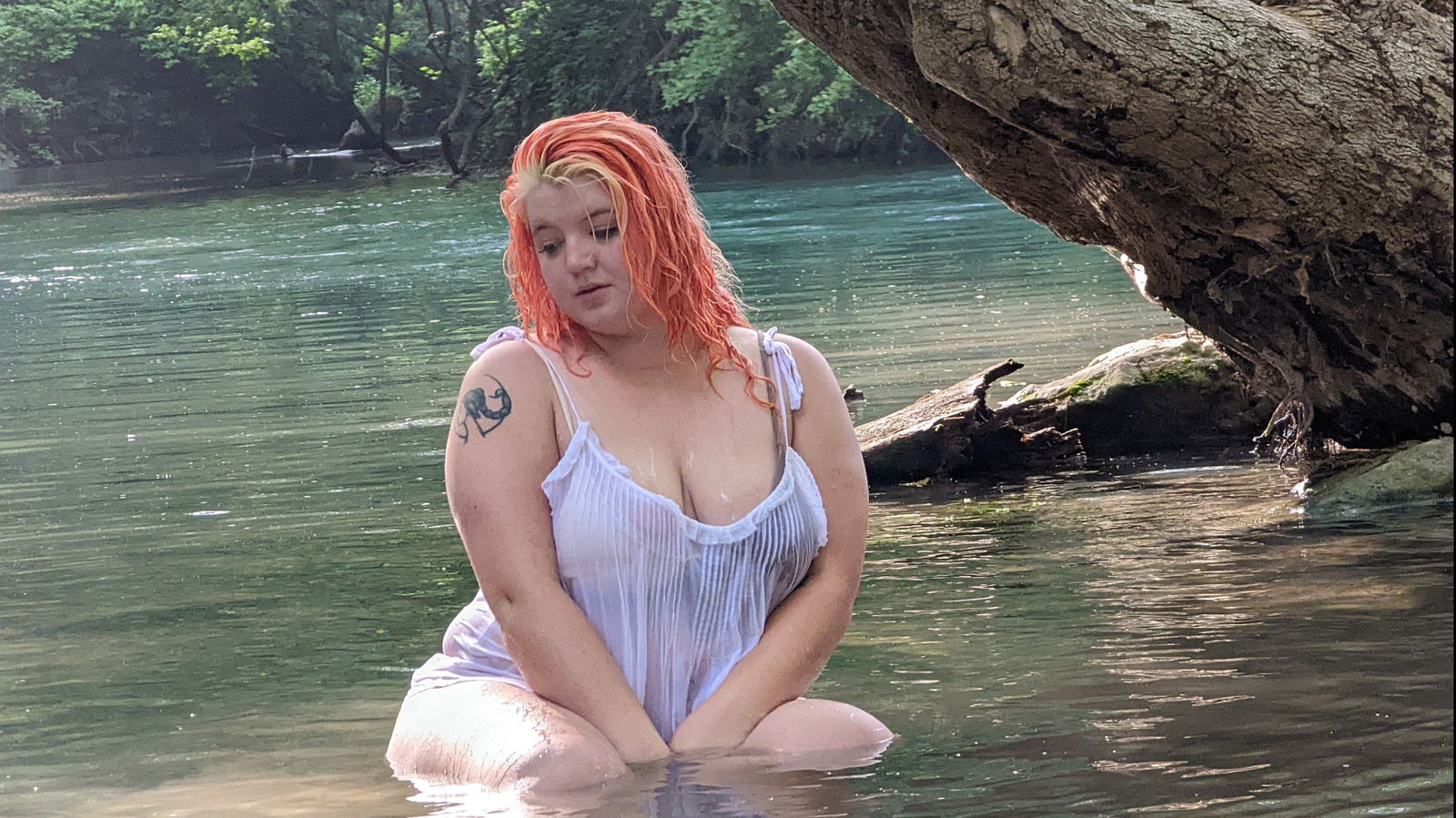 Carnation Katie photo