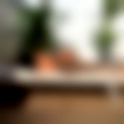 Iuhas Alexandra VIP photo