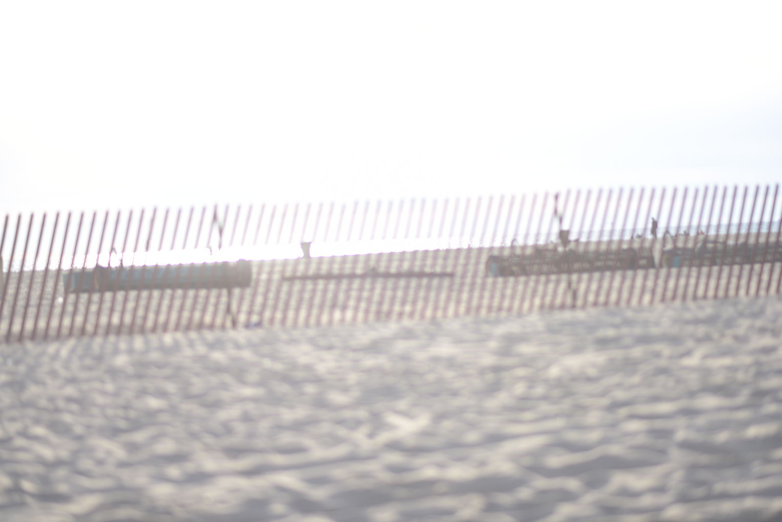 Dominique Rystan photo