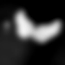 Brittany Furlan Lee photo