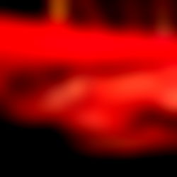 THE DOMINO PRESLEY photo