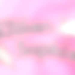 Kitten Sophie๐ฉท photo