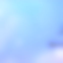 Kitten Sophie๐ฉท photo