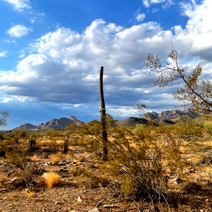 Zoie B (Topless Gaming & Nudes) photo