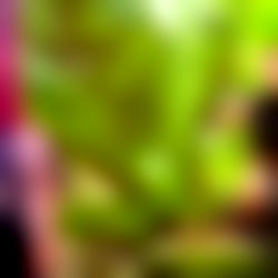 ๐ค Octokuro ๐ photo