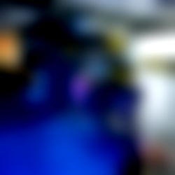 E͎V͎E͎L͎Y͎N͎N͎E͎ photo