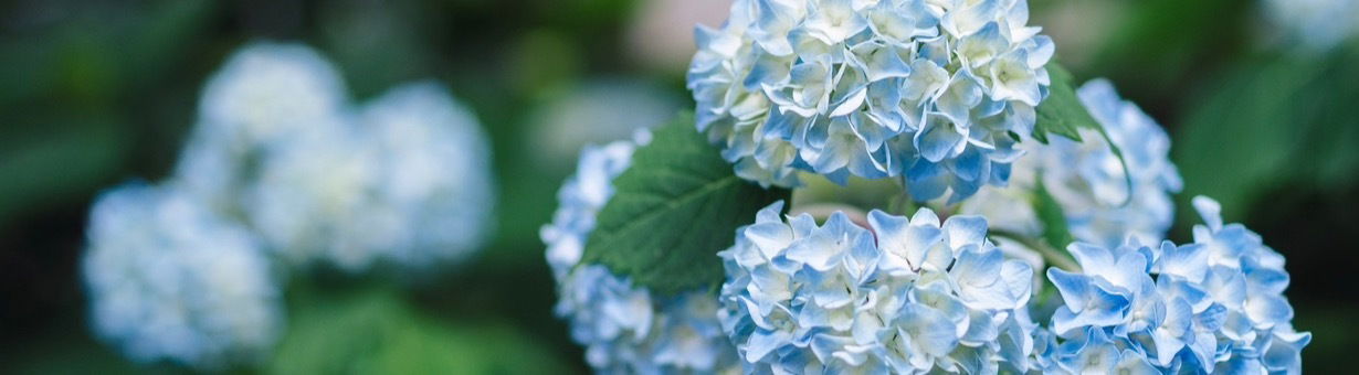 TS Eva Lord 🏳️‍⚧️ photo