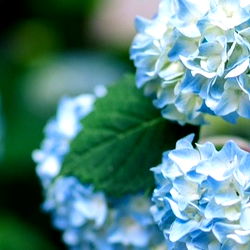 TS Eva Lord 🏳️‍⚧️ photo