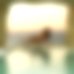 Sari โก Best natural body on OF photo