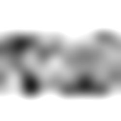 ๐๐๐๐๐๐๐๐ ๐๐๐๐ ๐๐ photo