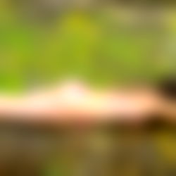 BigBootyBaileyVIP photo