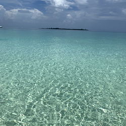 Costaricanpapii photo