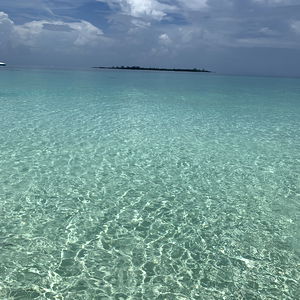 Costaricanpapii photo