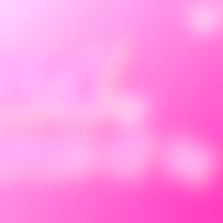 ๐โยฐ๏ฝกโโก Zelli photo