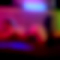 The Girl Next Door photo