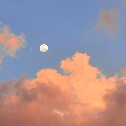 Jasmine | Natural 😇 photo