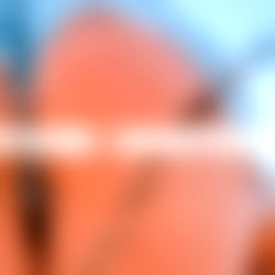 Mommy Astrid ๐ฆ photo