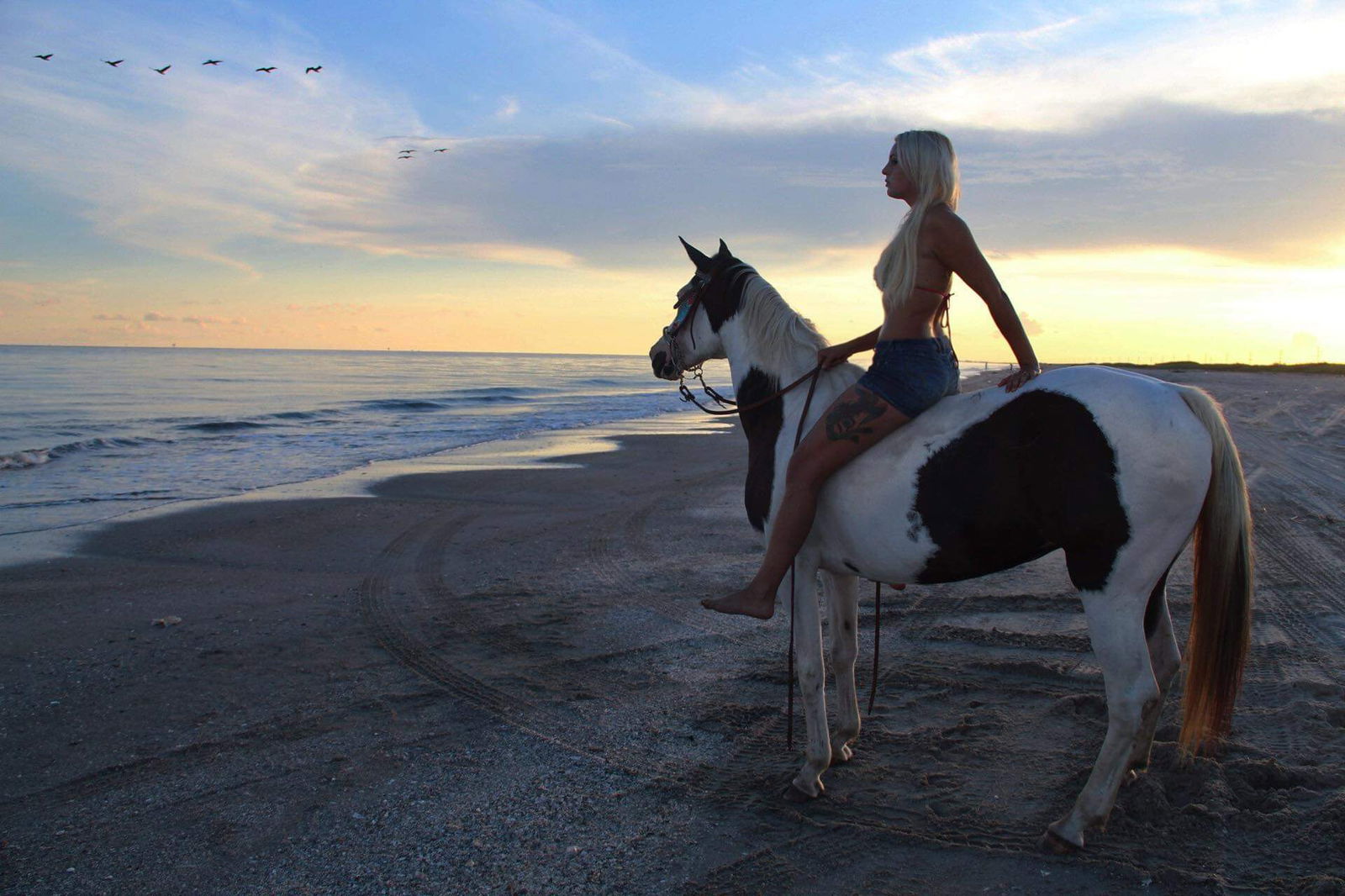 Alice FREE PAGE 💦 photo