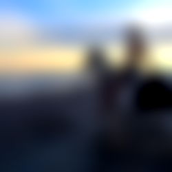 Alice FREE PAGE ๐ฆ photo