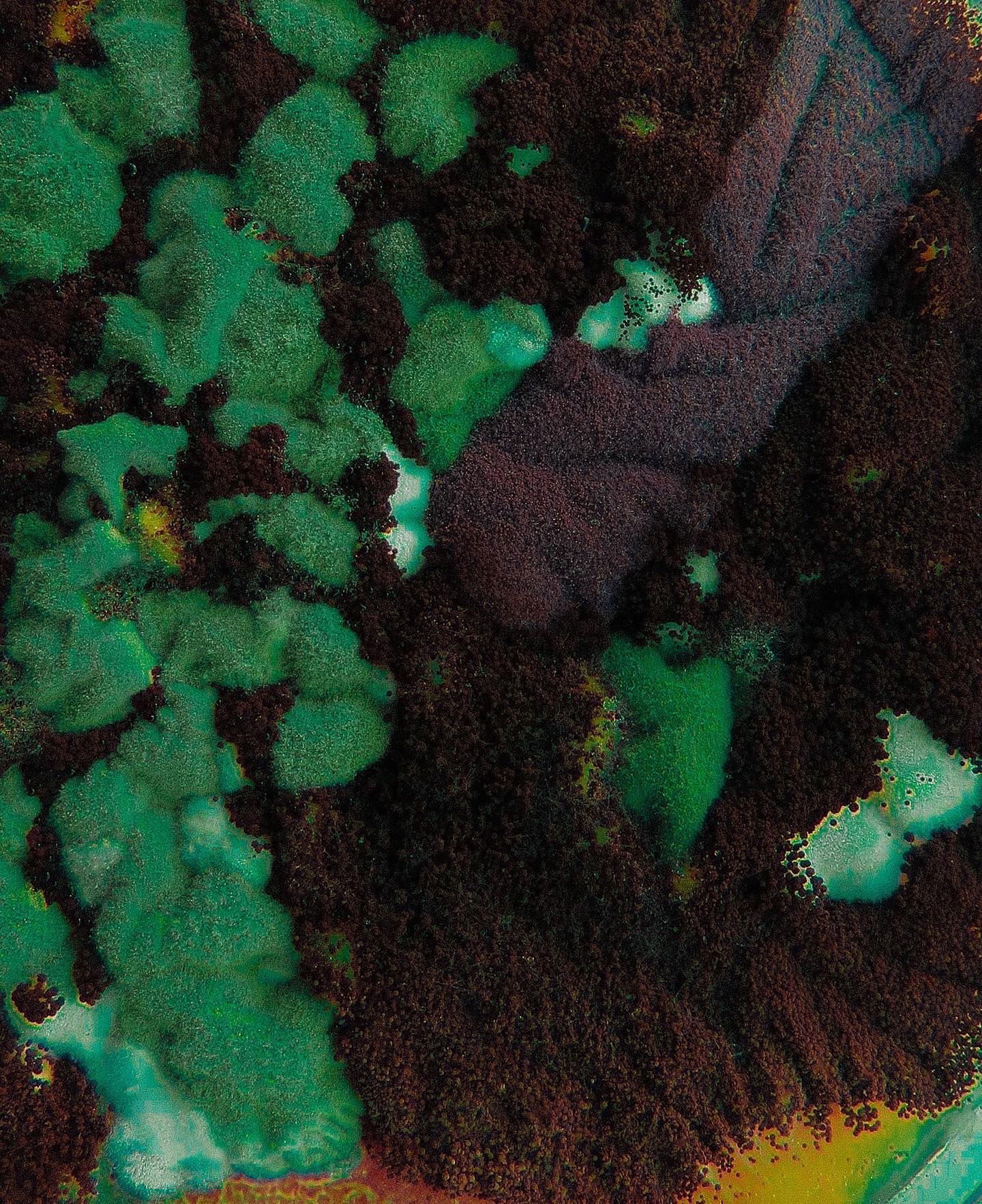 ʍìժօɾì🌱 photo