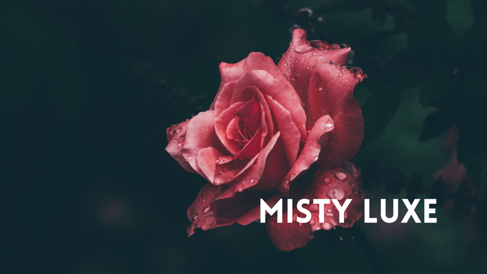Misty Luxe photo