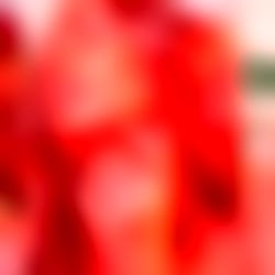 โจ๐ธPregnant Birthday Stark ๐คฐโค photo