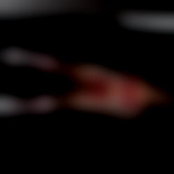 THE RED PILL ๐น photo