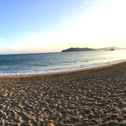 White Bean 🧸 photo