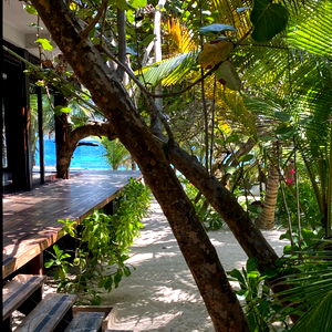 Melgracee๐ฏ photo