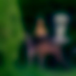 Goddess Medusa photo