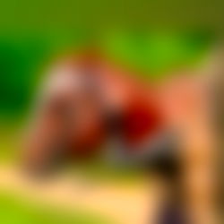 Candy Candy ๐ง๐ง๐ญ photo