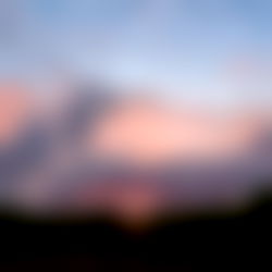 ๐ธMorningGlory๐ธ photo