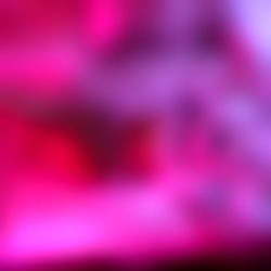 ๐๐violet๐๐ photo