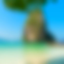 ๐ก๐๐ก๐ ๐๐๐ ๐ photo